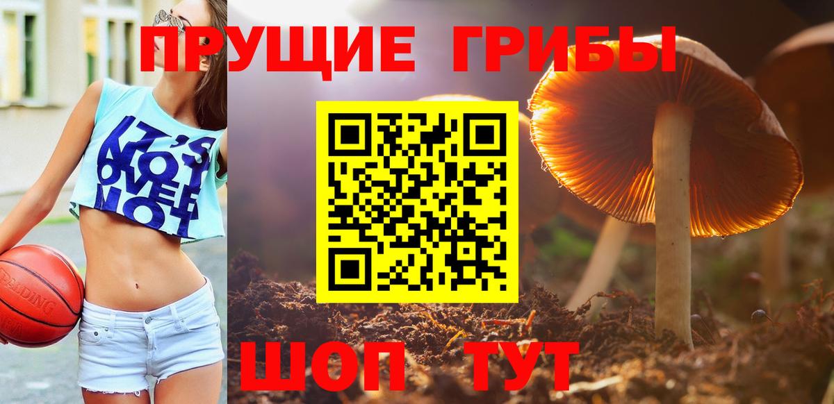 Псилоцибиновые грибы мухоморы  Галлюциногенные грибы Psilocybine cubensis  Конаково  Вход с VPN 